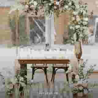 The pretty things are what we have right now with so many of us self isolating, dealing with overwhelming cancellations, and more. We will keep the pretty photos coming in hopes of adding a bit of joy to your feeds.⁠
⁠
Our linen in this lovely romantic feature on Carats & Cake @caratsandcake!⁠
⁠
Runner | White Voile Table Veil⁠
⁠
Photography | Emily Star Poole @emilystarpoole⁠
Videography | Jason Chesebrough Films @jasonchesebroughfilms⁠
Venue | Chalet View Lodge @chaletviewlodge⁠
Florals  | Walnut & Main @walnut.and.main⁠
Linens | Creative Coverings @creativecoverings⁠
Makeup | Edin Carpenter Makeup @edincarpentermakeup