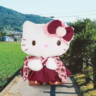 Start the new year with new plush 💖 The Hakama Hello Kitty and Friends series is available now on Sanrio.com! Link in bio to shop. 