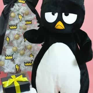 🎄 GIVEAWAY 🎄 Oh yeah! It's Day 9 of 12 Days of Gifting and look who's present is up next 🎁 Want to win Badtz-maru's prize pack? Follow the steps below to enter:⁠
⁠
🖤 Follow @sanrio ⁠
⚡ Like & repost this video⁠
⁠🖤 Tag a friend who deserves some holiday cheer!⁠
⁠
Share this post on your IG story so your friends don’t miss out!✨ ⁠
⁠
Sweepstakes ends 12/10 at 11:59am PST. One winner will be chosen and contacted via DM from @sanrio. No purchase necessary. Must be a US resident and 18+ to enter. Link in bio for the full terms & conditions. ⁠