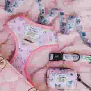 Paw-sitively pup approved 🐶🎀 Shop our exclusive Kuromi and My Melody @sassywoof collection now on Sanrio.com! Link in bio. 