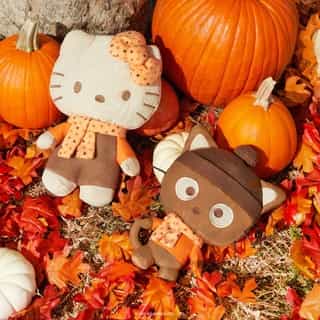 Falling for fall 🍂 Get cozy with Hello Kitty and Chococat in matching scarves! Shop now at Sanrio.com. Link in bio.