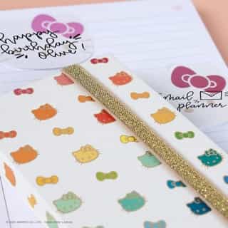 Ready, set, learn! 📚💖 Get ready for the 2024 school season with the Hello Kitty and Friends collection from @erincondren! Link in bio to shop.