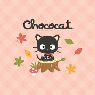New month, new #Chococat phone backgrounds 📱 Visit the link in bio to download your favorite wallpaper or head over to stories ✨ #SanrioFOTM