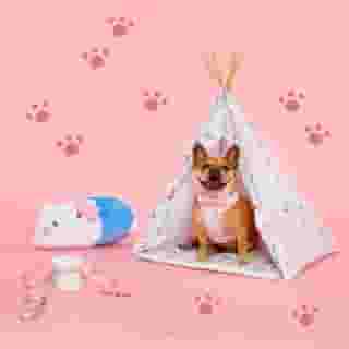 Introducing our first collection for pets 🐾💖 Share the Sanrio love with your fur babies using the walking harness, ceramic food bowl, pet tent and more! Link in bio.