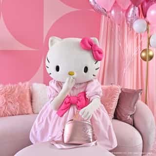 New from @igloocoolers 💖 The limited edition Hello Kitty Luxe Cooler is supercute and super stylish for a super fun time celebrating @HelloKitty's birthday month! Link in bio to shop now✨ ⁠