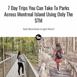 Find some time to explore the outdoors this weekend! ⁠
⁠
*Click the link in @mtlblog bio for the full story! ⁠
⁠
📸: @cathcampanelli & @fortheluvofgin ⁠
