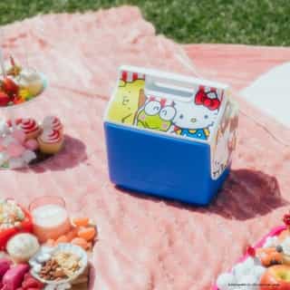 Back in stock: @igloocoolers! ☀️ Grab your besties and head to the park for #NationalPicnicDay! Tap the link in bio to shop 💖