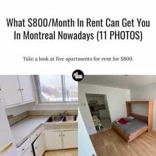 Though not a representative sample, the apartments could give you a general idea of the kind of value renters might expect to find across the city.⁠
⁠
*Click the link in @mtlblog bio for the full story! ⁠
⁠
📸: Rentals.ca