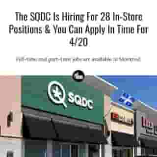 We know this is a dream job for some of you!⁠
⁠
*Click the link in @mtlblog bio for the full story! ⁠
⁠
📸: Paul Mckinnon via @dreamstime⁠
