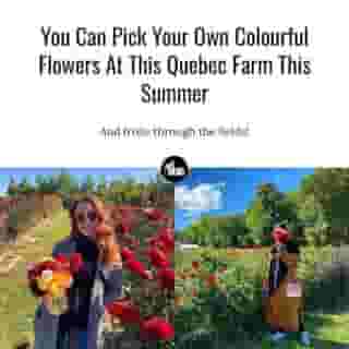 The farm — which, according to its website, counts 300 varieties of dahlias plus 50 flower types designated for cutting — lets visitors pick their own flowers to build their own bouquets.😍⁠
⁠
*Click the link in @mtlblog bio for the full story! ⁠
⁠
📸: @emilpopper & @zeinamawassi⁠
