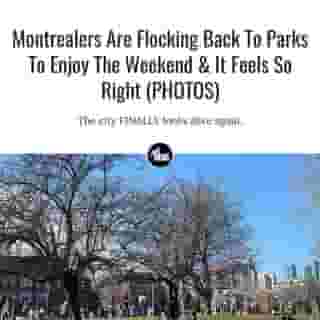 HALLELUJAH 🥳🙏⁠
⁠
*Click the link in @mtlblog bio for the full story! ⁠
⁠
📸: @niickl⁠
