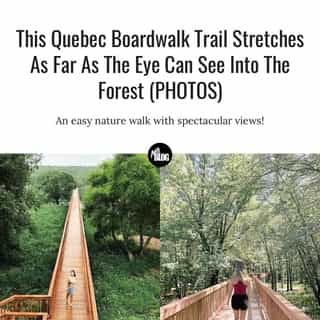 The 710-metre trail leads to a 12.3-metre lookout tower. 😍⁠
⁠
*Click the link in @mtlblog bio for the full story! ⁠
⁠
📸: @migoko2 & @maddygirouard⁠
