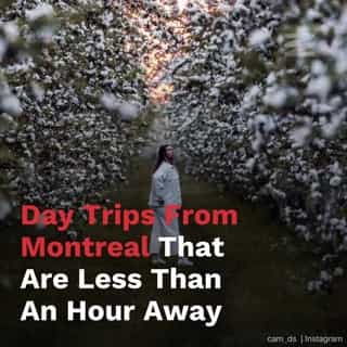 We all love to make the most of the day, which is why day trips from Montreal that take you less than an hour from the city are perfect.⁠
⁠
*Click the link in @mtlblog bio for the full story! ⁠
