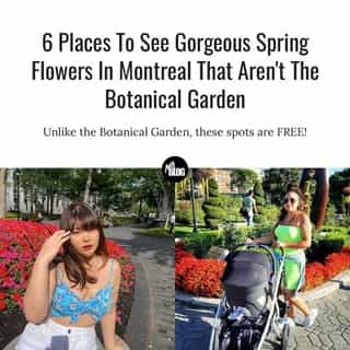 No shade toward the Botanical garden (you're lovely and precious), but sometimes we want to enjoy the beauty of nature without having to pay for it. 🌷⁠
⁠
*Click the link in @mtlblog bio for the full story! ⁠
⁠
📸: @mmuayys & @dahlia_mtl 