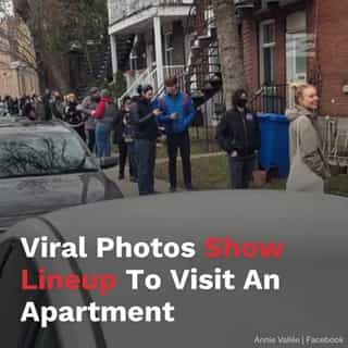Viral photos apparently show an enormous lineup to visit a Montreal apartment.⁠
⁠
*Click the link in @mtlblog bio for the full story! ⁠
⁠
