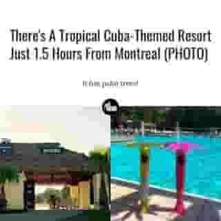 The 263-acre campsite is complete with thatched-roof structures, colourful chalet rentals and even, it seems, a few palm trees. 🌴🍹⁠
⁠
*Click the link in @mtlblog bio for the full story! ⁠
⁠
📸: Camping Havana Resort⁠
