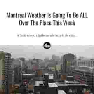 Perfect.... 🙄🥴⁠
⁠
*Click the link in @mtlblog bio for the full story! ⁠
⁠
📸: Dreamsgate Pictures via @dreamstime⁠
