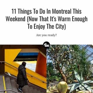 Outside has never looked so good! ☀️😍⁠
⁠
*Click the link in @mtlblog bio for the full story! ⁠
⁠
📸: Jeffrey Grospe via @unsplash & Louise Rivard via @dreamstime⁠
⁠
