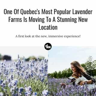 It's the perfect place to go when you're in need of an escape not just in the summer, but now throughout the year. 💜⁠
⁠
*Click the link in @mtlblog bio for the full story! ⁠
⁠
📸: @bleulavande⁠
