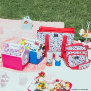 Forecast calls for fun! ☀️ Get picnic-ready with Hello Kitty and Friends x @igloocoolers 🧺💕 Tap the link in bio to shop this week's new arrivals!