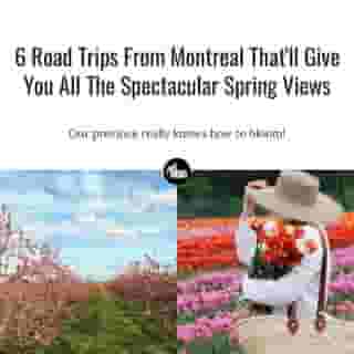 Raise your hand if you need a road trip. 🙋‍♂️⁠
⁠
*Click the link in @mtlblog bio for the full story! ⁠
⁠
📸: @cidreriemicheljodoin & @charlodussault⁠
