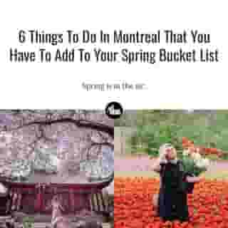 Can you smell the fresh air in the city? 🌸⁠
⁠
*Click the link in @mtlblog bio for the full story! ⁠
⁠
📸: @ericbranover & @charlodussault⁠
